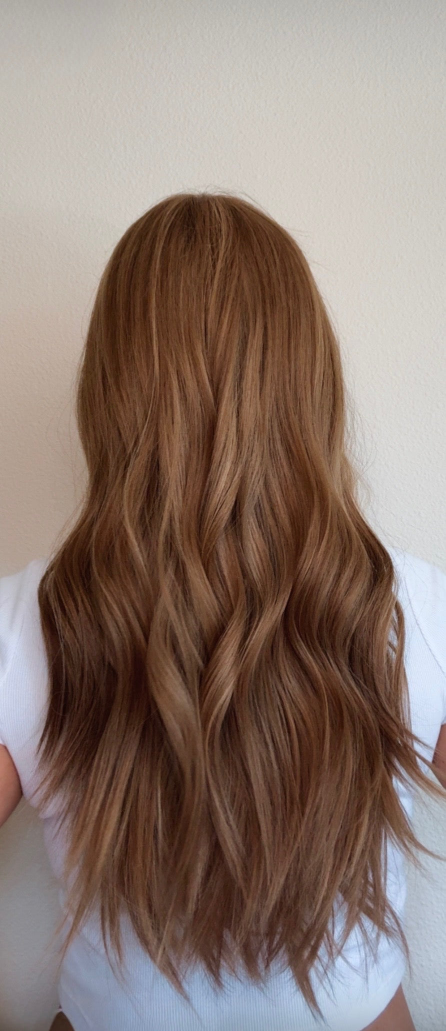 Jensyn 24" EURO | Human Hair | Light Density | M